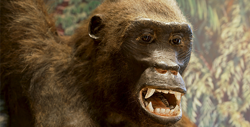 George the Gorilla - N-MESH
